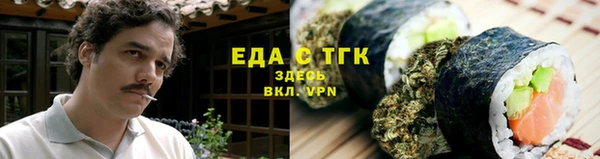 индика Алзамай