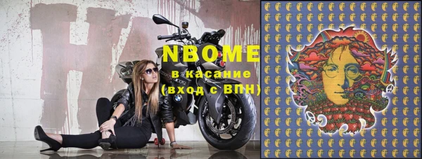 индика Алзамай