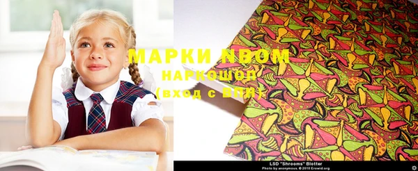 индика Алзамай