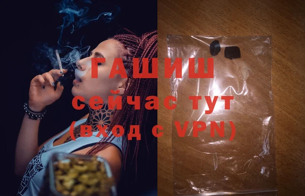 индика Алзамай