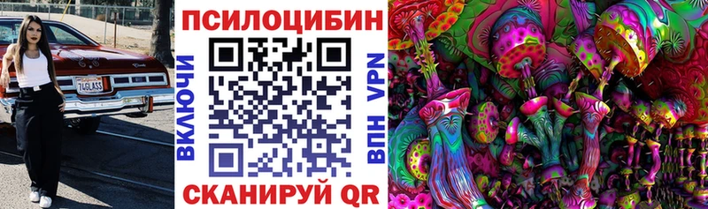 Галлюциногенные грибы Psilocybine cubensis  продажа наркотиков  Сухой Лог 