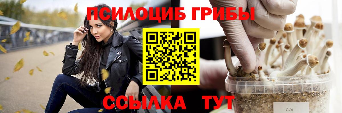 Галлюциногенные грибы мицелий Сухой Лог